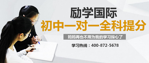 中学辅导_副本.png