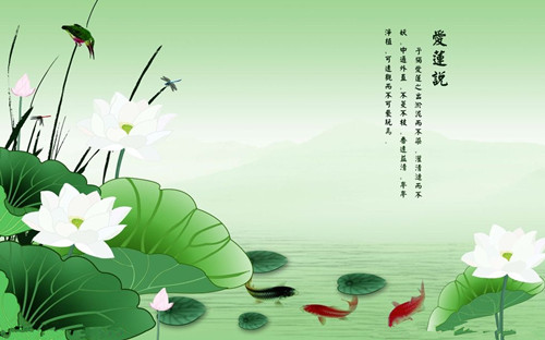 timg_副本.jpg