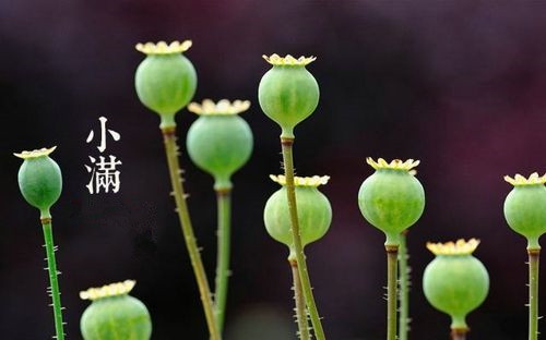35_副本.jpg